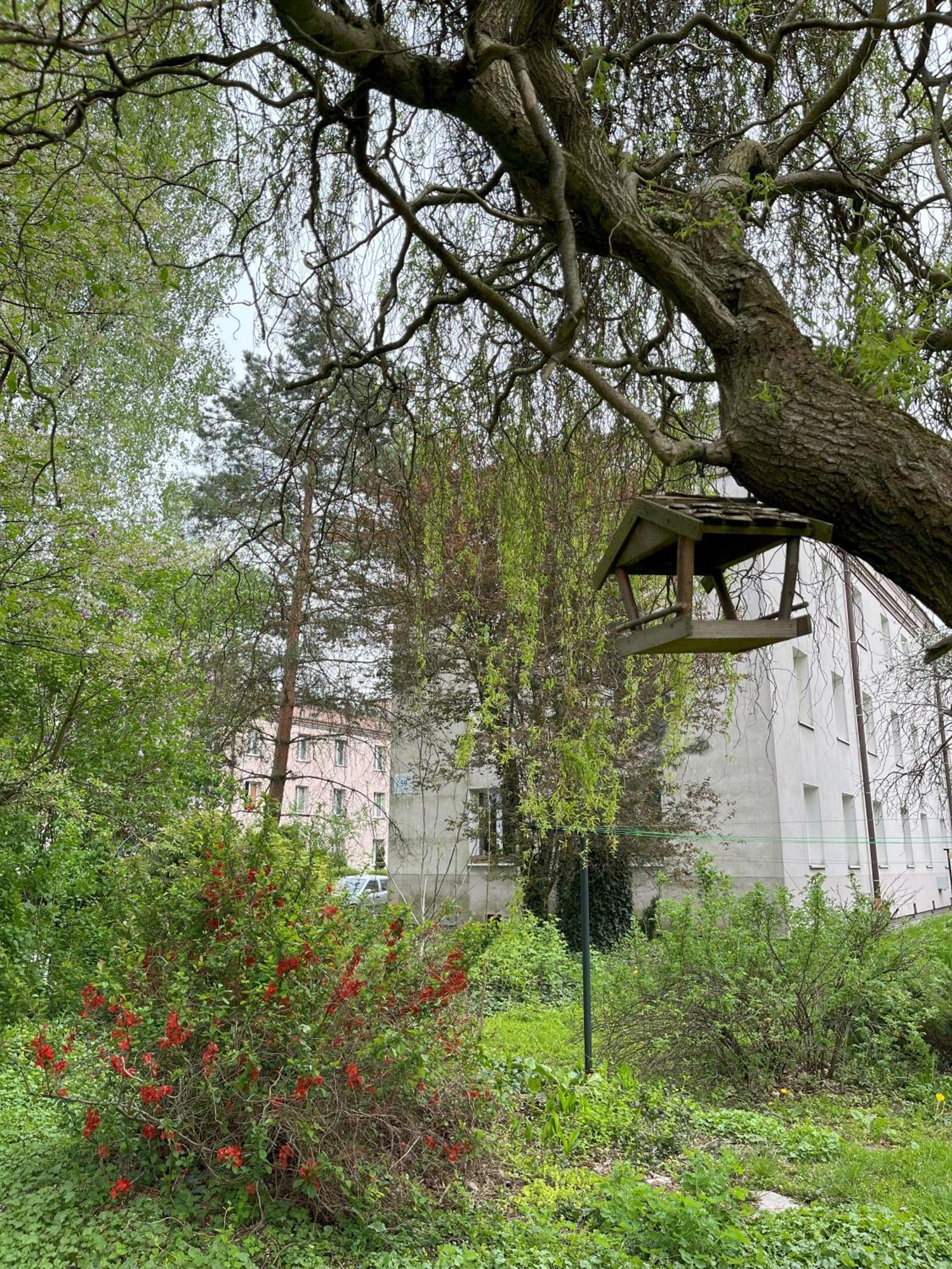 Greenthumb Praska Krakau Exterior foto